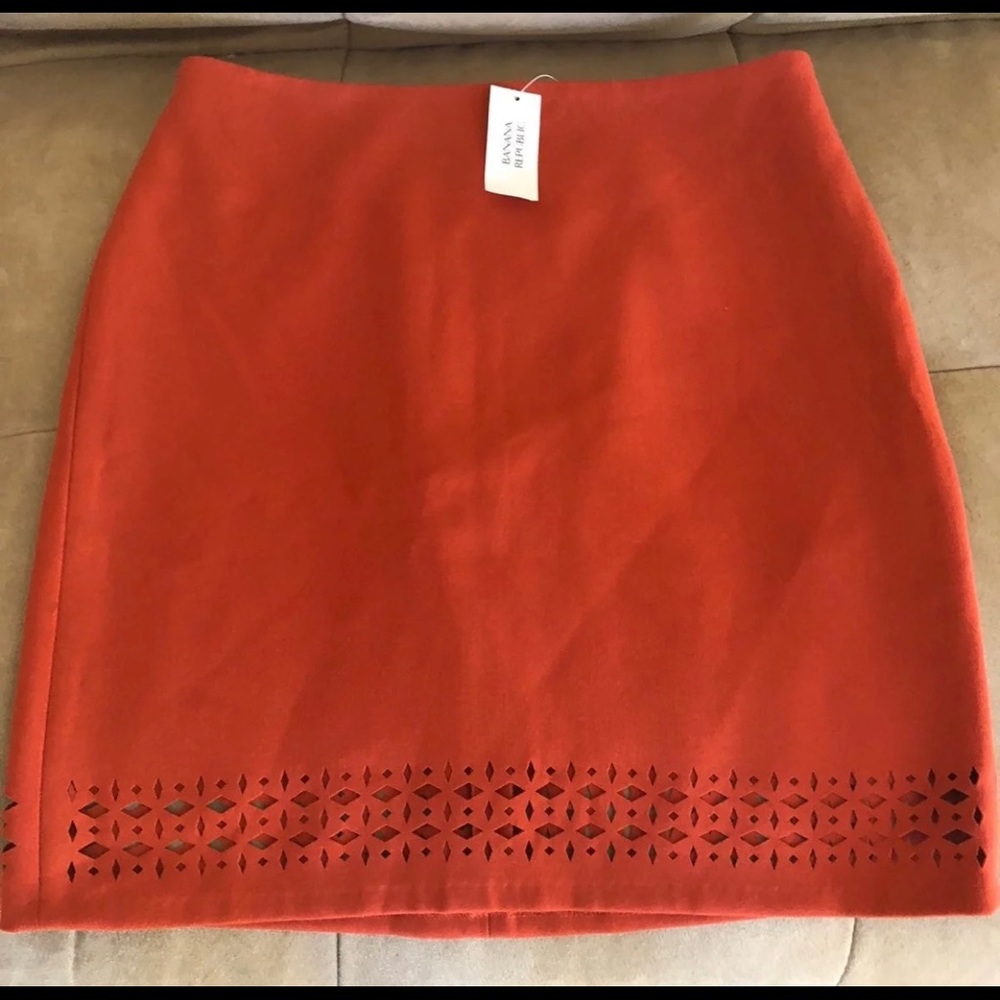 Banana Republic Skirt